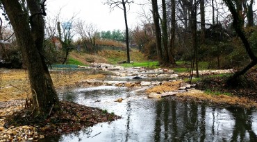 Storm Water Management<br />& Rain Gardens