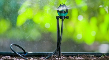Irrigation – Drip and Turf<br /> 