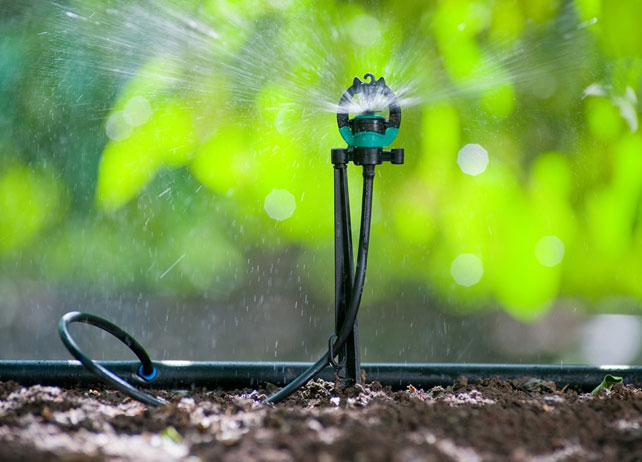 Irrigation – Drip and Turf<br /> 